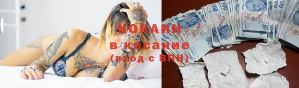 трава Абаза