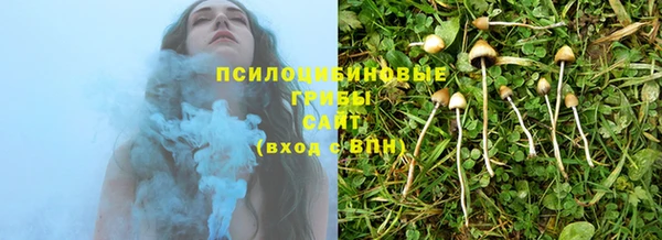 дурь Абинск